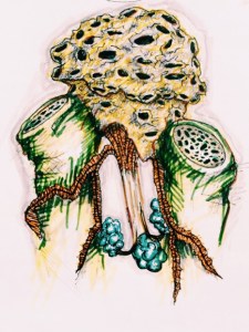 Processed with VSCOcam with c1 preset