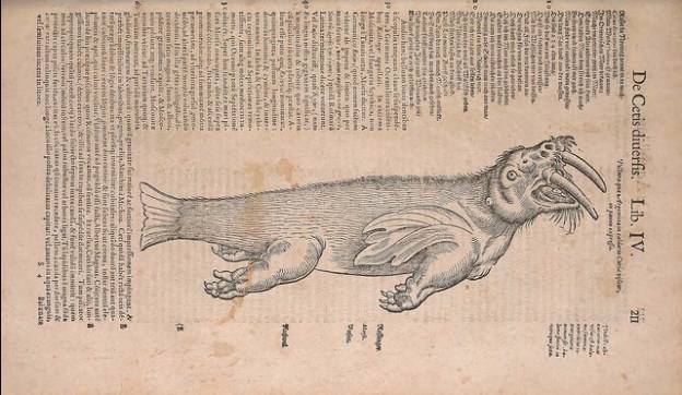 Conrad Gessner - Historia animalium